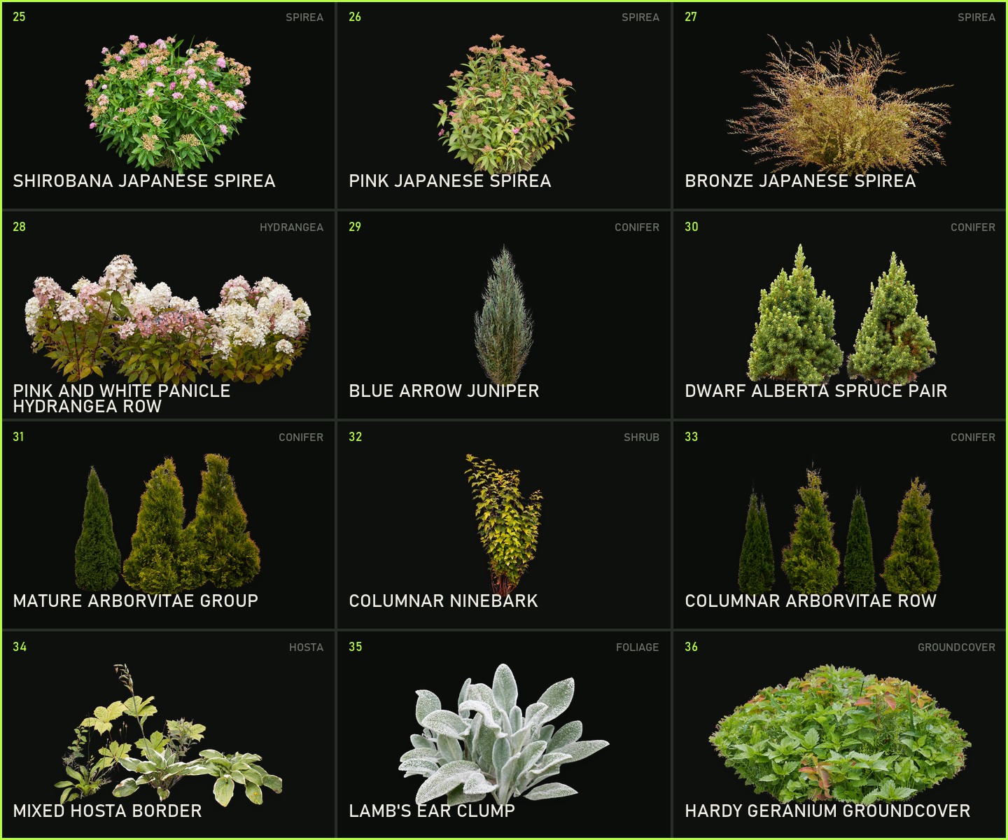 Twelve new shrubs, flowers and planting assets available in the PRO edition