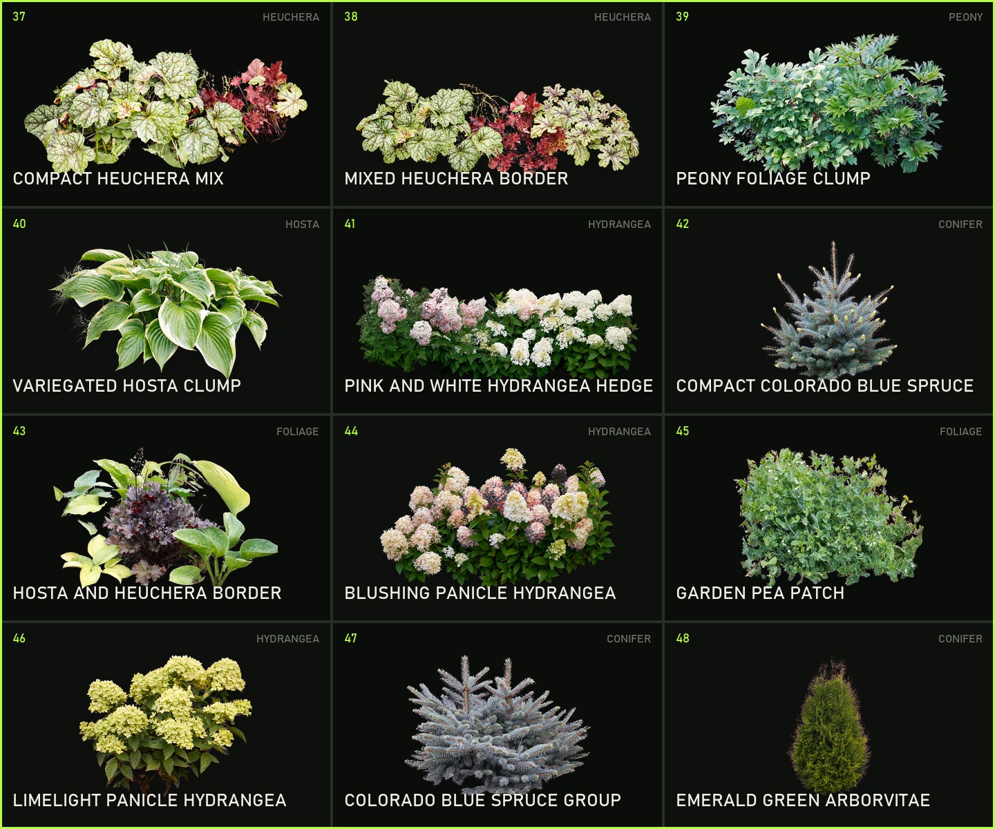 Twelve new hedge, border and foliage assets for Blender landscaping