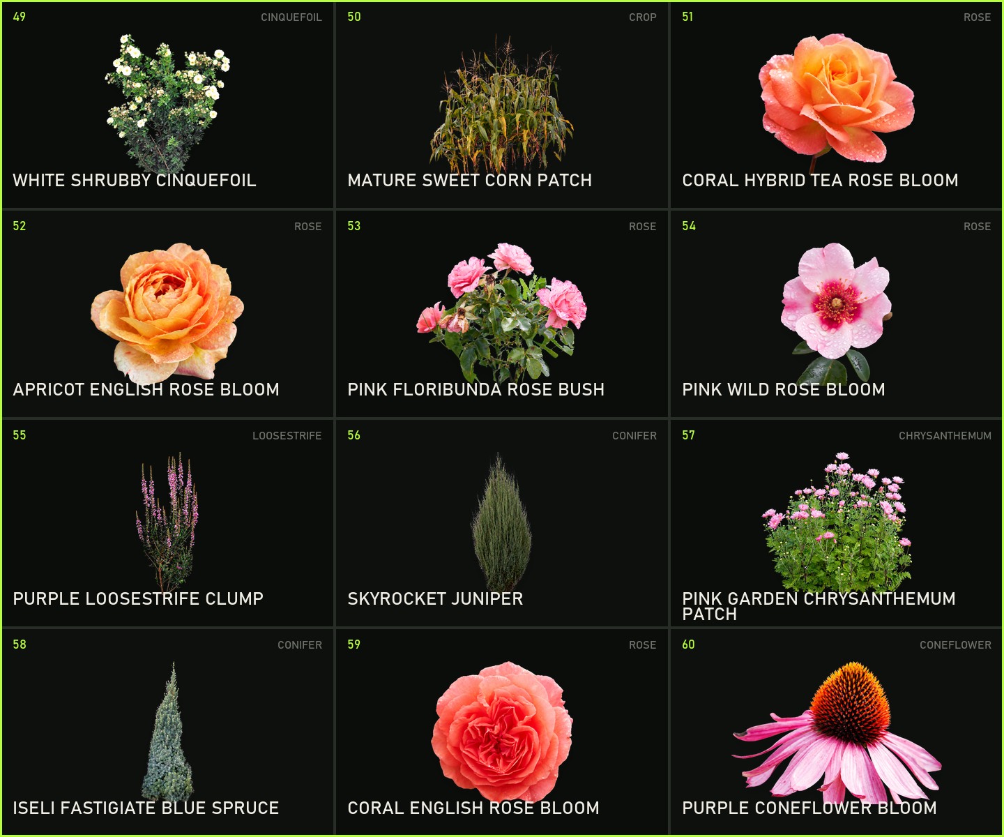 Twelve new detailed plants and flowers from the PRO asset library