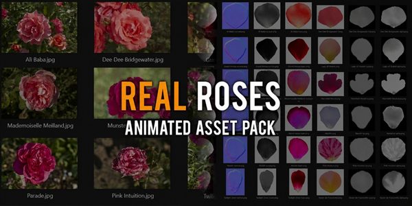 Animated Real Roses asset pack cover